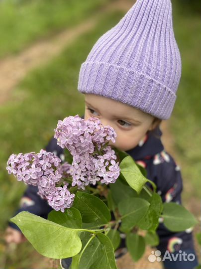 Шапка трюфель новая