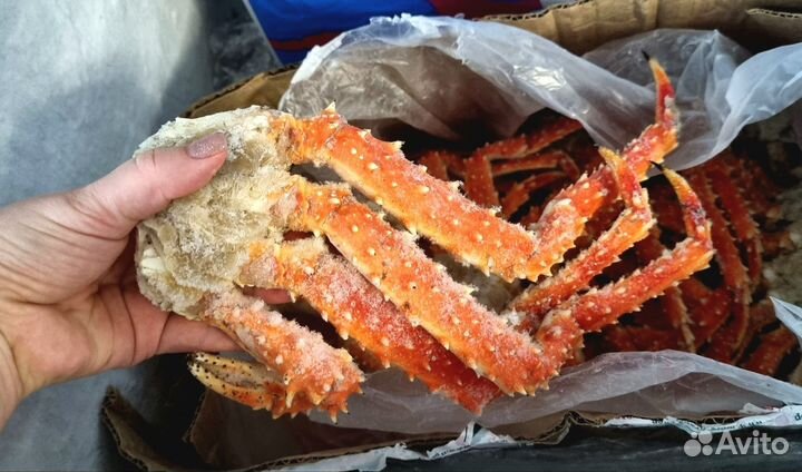 Клешни камчатского краба