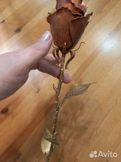 Железная роза