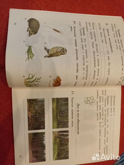 Тетрадь для проверочных работ по окр миру 2 класс