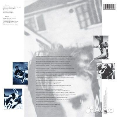 Виниловая пластинка Sting, The Dream Of The Blue T