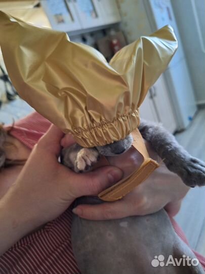 Шапочка для купания кошек и собак