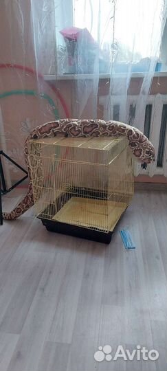 Клетка для попугая