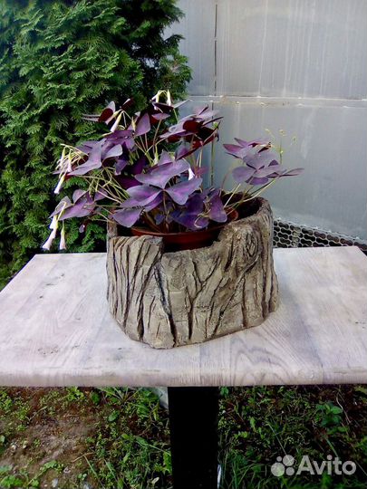 Кашпо для цветов из бетона