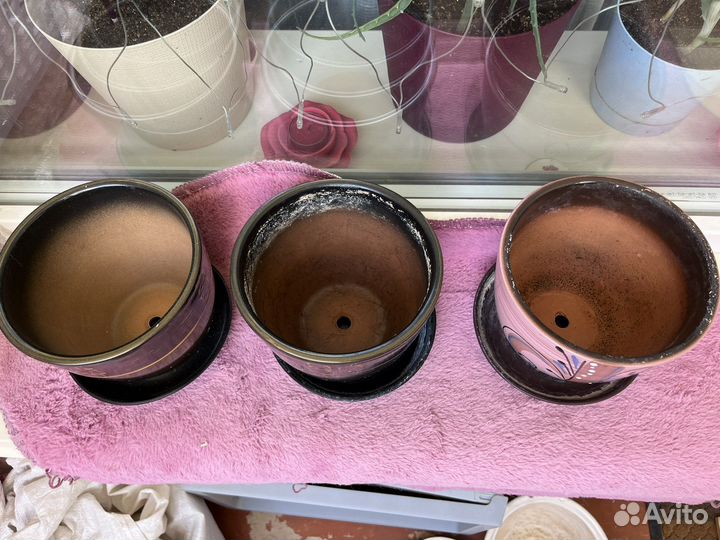 Керамические горшки