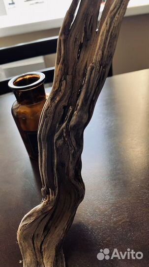 Коряга для декора интерьера устойчивая
