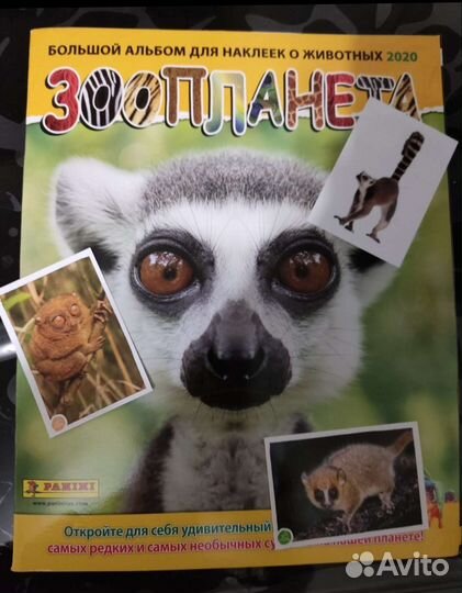 Наклейки panini зоопланета