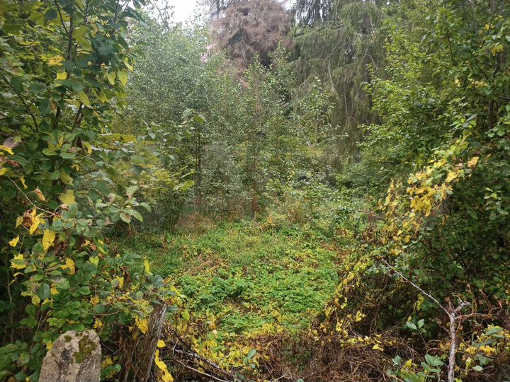 Дом 74 м² на участке 16 сот.