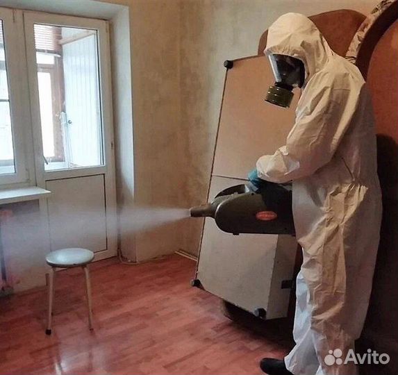 Уничтожение клопов тараканов грызунов плесени запа