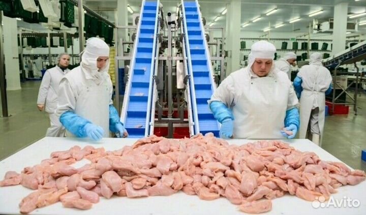 Разнорабочий на мясокомбинат(вахта)