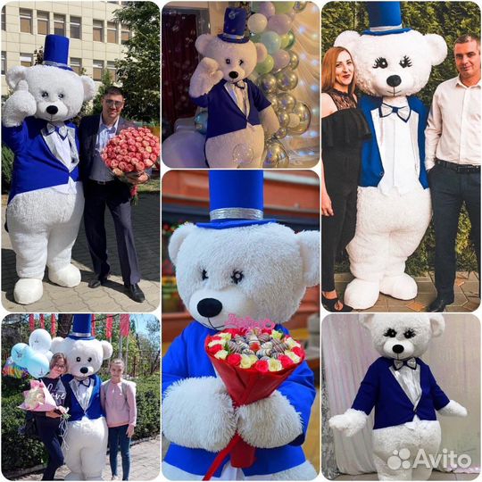 Ростовая кукла. Поздравление, аниматор мишка