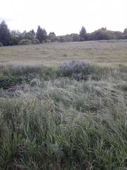 Участок 30 сот. (ИЖС)