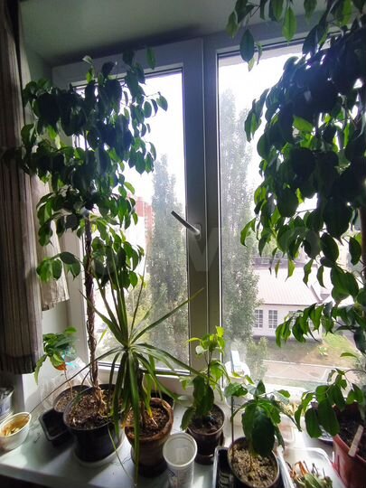 3-к. квартира, 56,4 м², 8/9 эт.