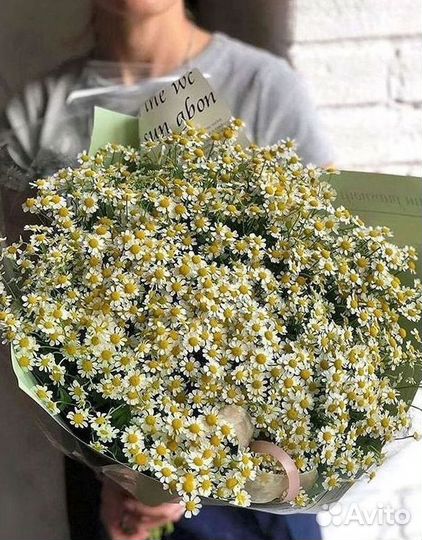 Цветы ромашки