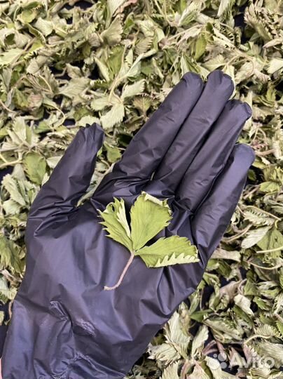 Листья земляники сушеные