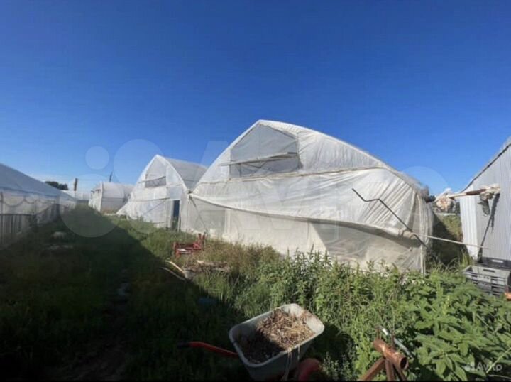 Участок 85 сот. (СНТ, ДНП)