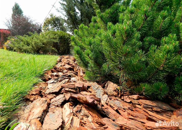 Кора мульча