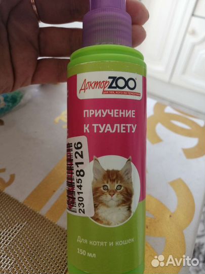 Для котят и кошек