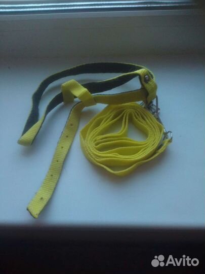 Поводок для кошки или мелкой собаки