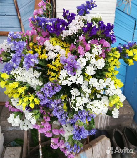 Цветы, букеты, из сухоцветов, хорошего качества