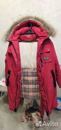 Парка для девочки