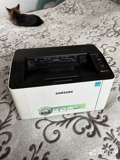 Принтер samsung xpress m2020