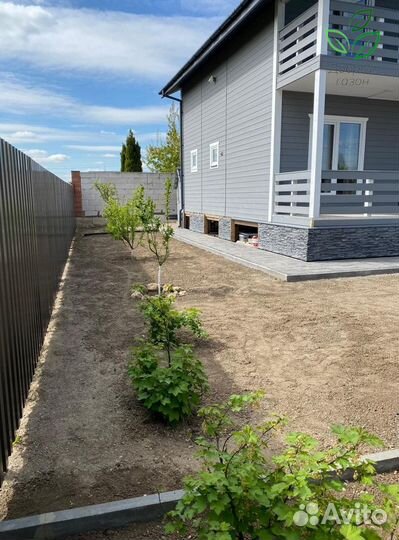 Рулонный газон от производителя