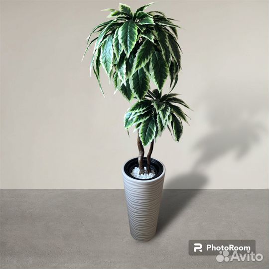 Искусственные растения для декора