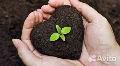 Навоз, торф, чернозём в мешках