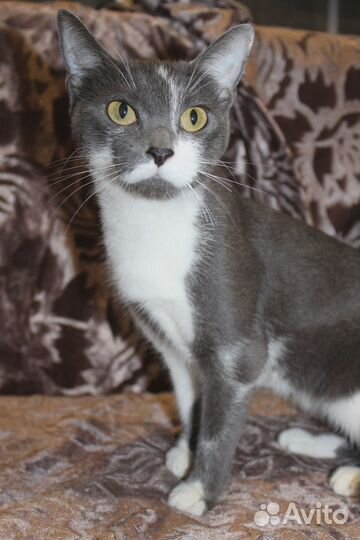 Нежная Мишель ищет дом