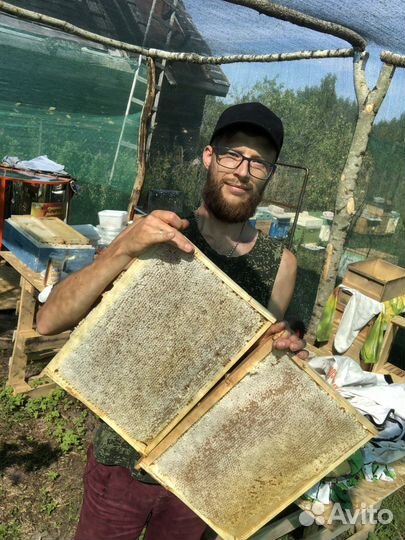 Пчелопакеты и матки карпатка. Вывод: Калязин