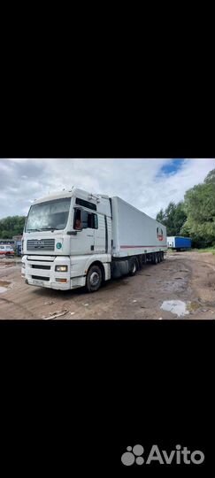 Грузоперевозки 20 тонн реф тен контейнер