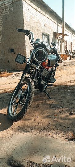 Alpha swift110