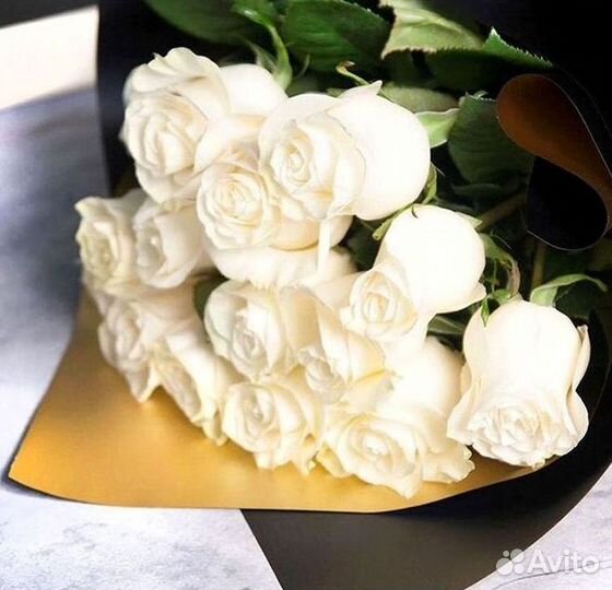 Высокие розы Гигантские розы Доставка цветов