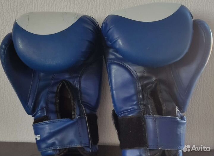 Боксерские перчатки 10 oz