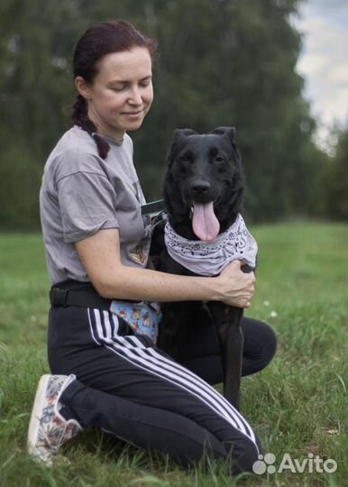 Красавец в ожидании семьи