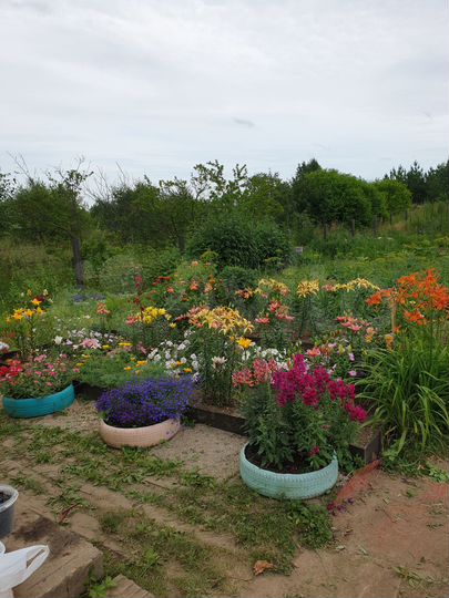 Дача 12 м² на участке 10 сот.