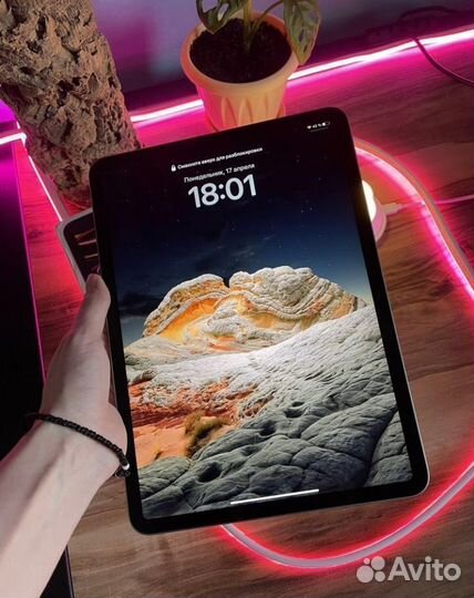 iPad Pro 2022 12.9
