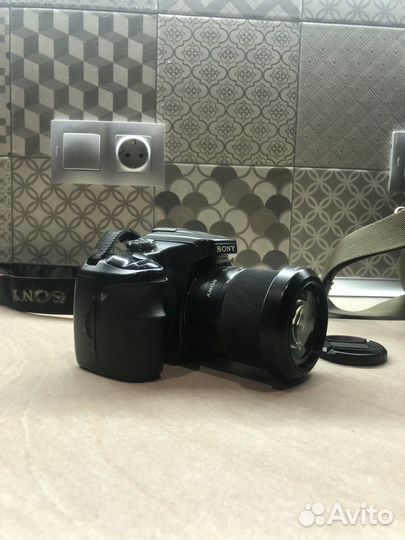 Sony dslr A100