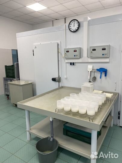 Камера созревание для сыров и колбас