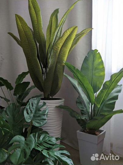 Искусственные тропические растения цветы деревья