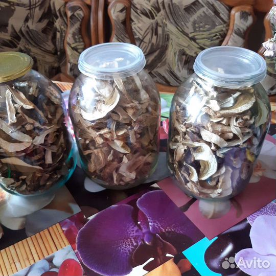 Грибы, Боровики