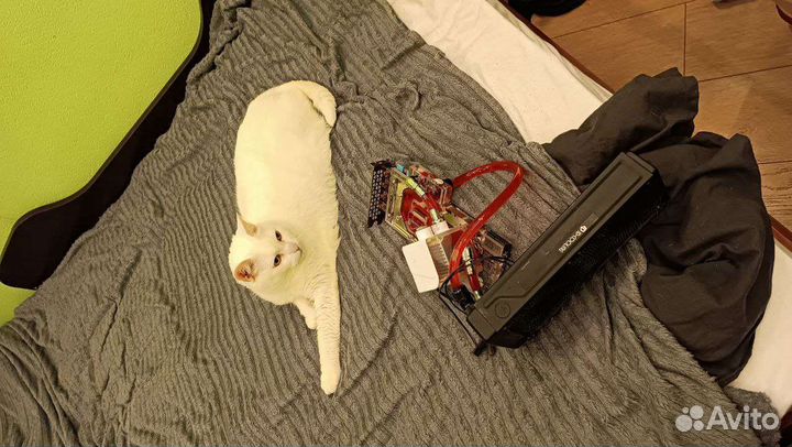 Gtx 1080 ti gigabyte