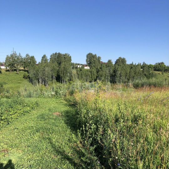 Участок 12 сот. (ИЖС)