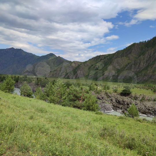 Участок 50 сот. (СНТ, ДНП)