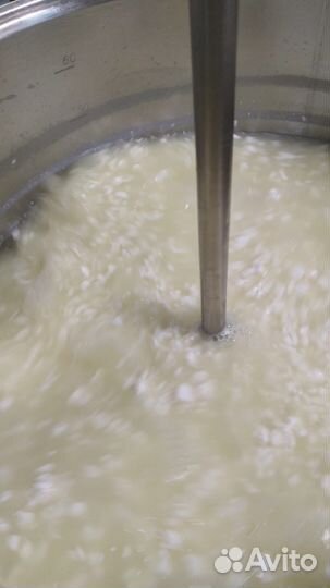 Технологическая карта для сыра и кисломолочки