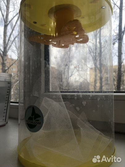 Бабочкарий