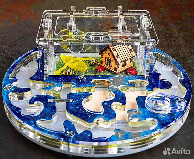 Муравьиная ферма Муравьи оптом и в розницу Корм