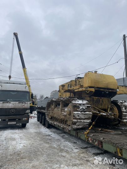 Трубоукладчик в аренду