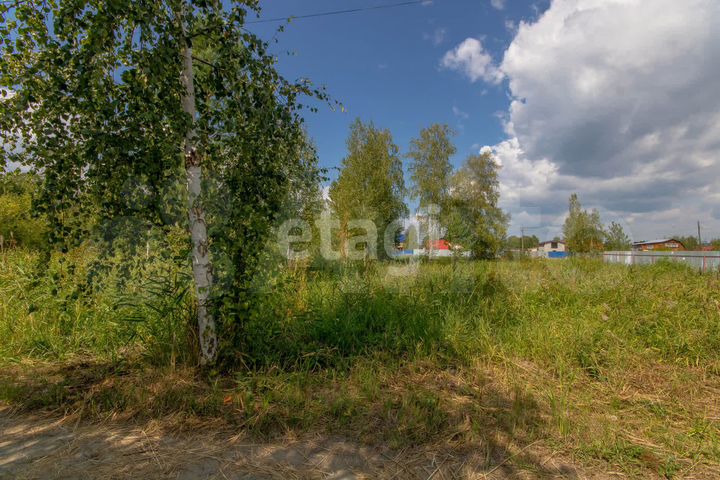 Участок 10 сот. (СНТ, ДНП)